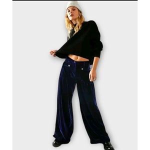 New Free People Lotus Velvet Pants Size 24